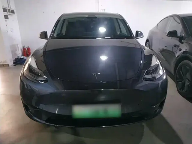 Tesla Model Y — Фото автомобиля 2
