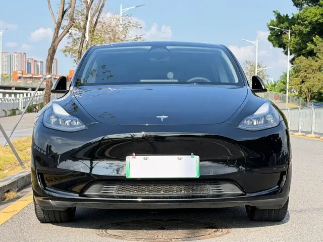 Tesla Model Y — Фото автомобиля 2