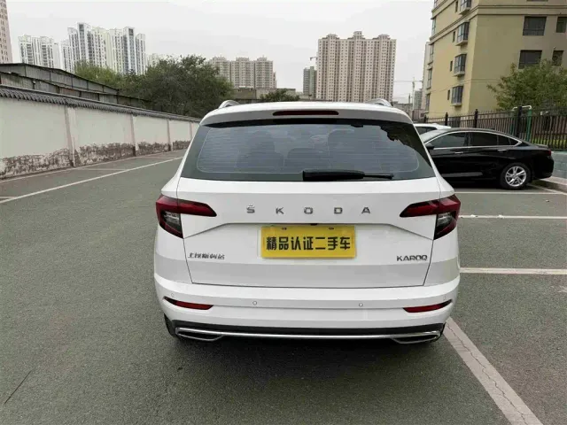 Skoda Karoq — Фото автомобиля 16