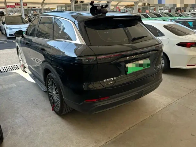Chery Fulwin T9 — Фото автомобиля 17