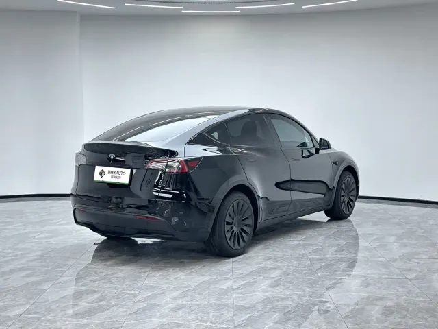 Tesla Model Y — Фото автомобиля 6