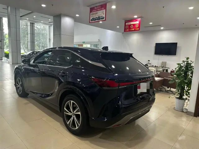 Lexus RX — Фото автомобиля 6