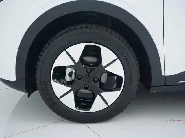Geely Starry Wish — Фото автомобиля 22
