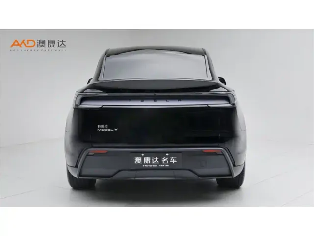 Tesla Model Y — Фото автомобиля 4