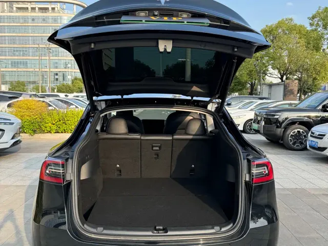 Tesla Model Y — Фото автомобиля 10