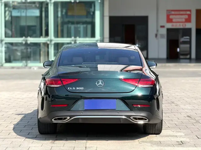 Mercedes-Benz CLS-Class — Фото автомобиля 8