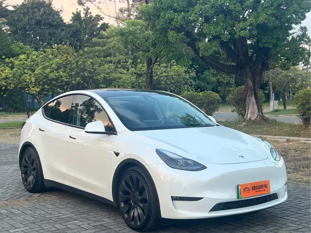 Tesla Model Y — Фото автомобиля 3