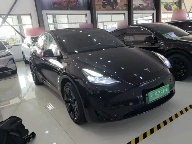 Tesla Model Y — Фото автомобиля 3