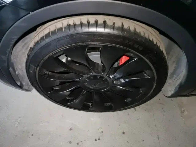 Tesla Model Y — Фото автомобиля 22