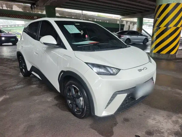 BYD Seagull 2024 Glory Edition 305km Freedom Edition — Фото автомобиля 3
