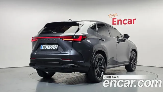 Lexus NX 2nd Gen — Фото автомобиля 2