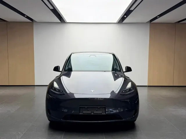 Tesla Model Y — Фото автомобиля 2