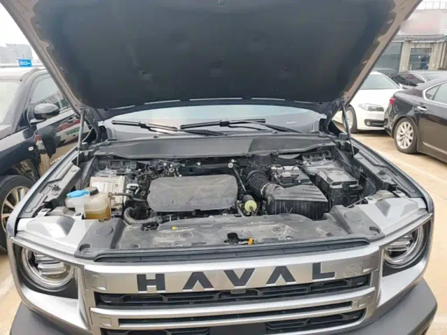 Haval Big Dog — Фото автомобиля 19