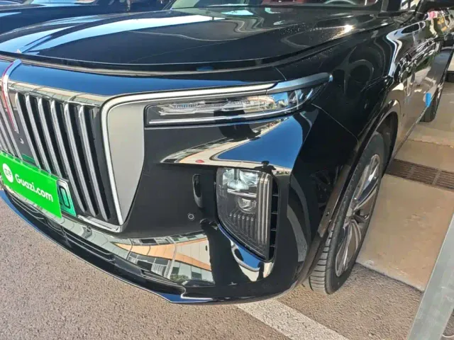 Hongqi E-HS9 — Фото автомобиля 23