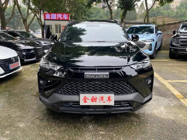Haval H6S — Фото автомобиля 2