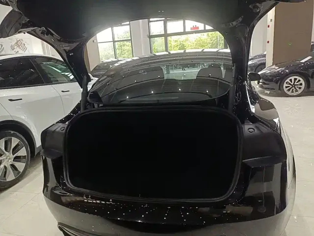Tesla Model 3 — Фото автомобиля 18