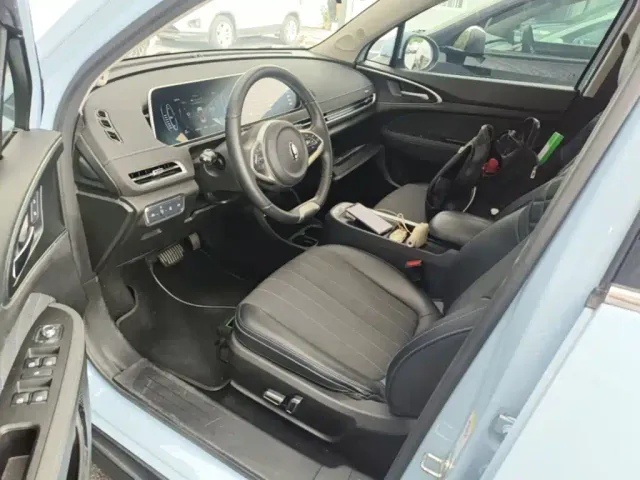 Ora Ora Good Cat 2021 400km Standard Range Athena Edition (LFP) — Фото автомобиля 14