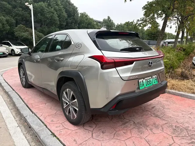 Lexus Lexus UX Electric 2020 300e Pure Enjoyment Edition — Фото автомобиля 6