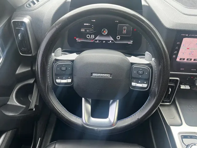 Haval Haval Big Dog 2022 1.5T DCT FWD Labrador Edition — Фото автомобиля 5