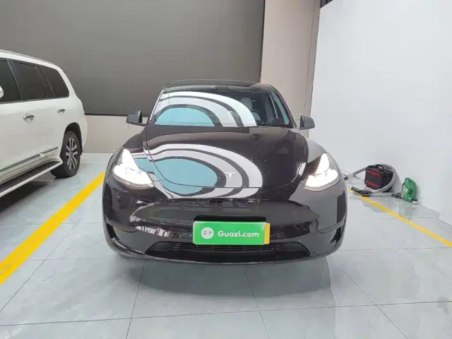 Tesla Model Y — Фото автомобиля 2