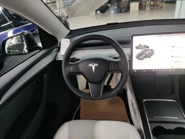 Tesla Model Y — Фото автомобиля 10