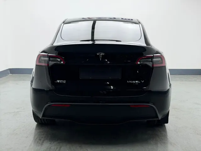 Tesla Model Y — Фото автомобиля 6