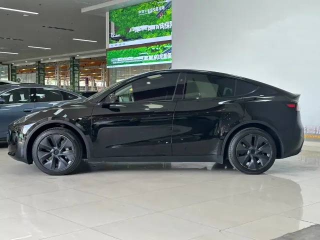Tesla Model Y — Фото автомобиля 3