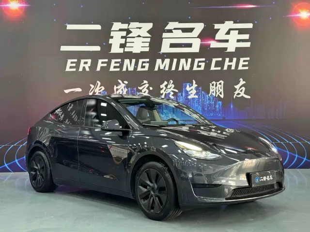 Tesla Model Y — Фото автомобиля 3