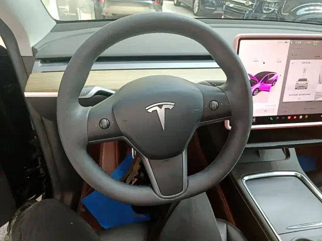 Tesla Model Y — Фото автомобиля 10