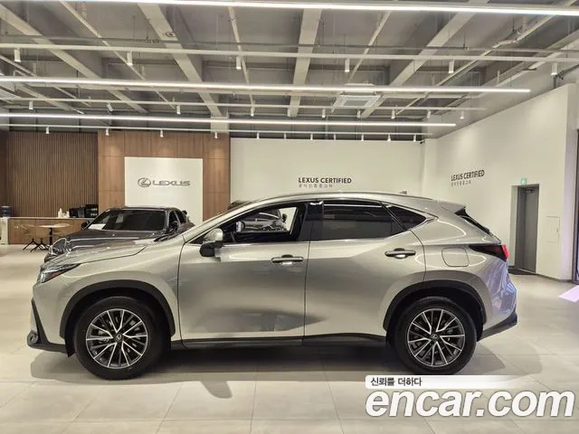 Lexus NX NX450h+ 2nd Gen — Фото автомобиля 6
