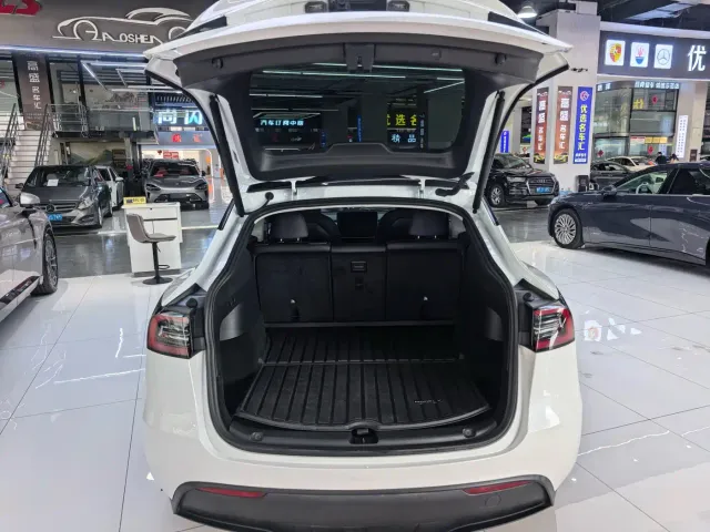 Tesla Model Y — Фото автомобиля 18