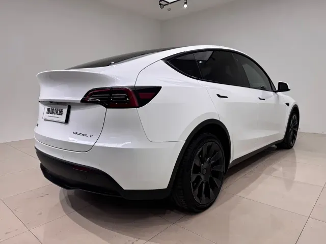 Tesla Model Y — Фото автомобиля 4
