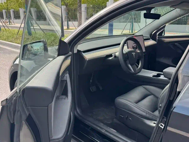 Tesla Model Y — Фото автомобиля 6