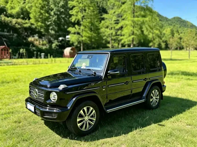 Mercedes-Benz G-Class — Фото автомобиля 6