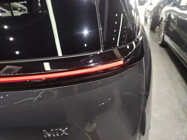 Zeekr Mix — Фото автомобиля 7