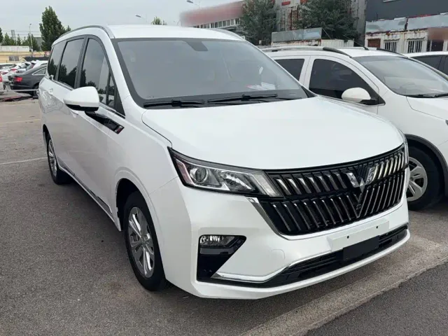 Wuling Jiachen — Фото автомобиля 23