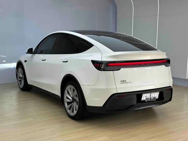 Tesla Model Y — Фото автомобиля 6