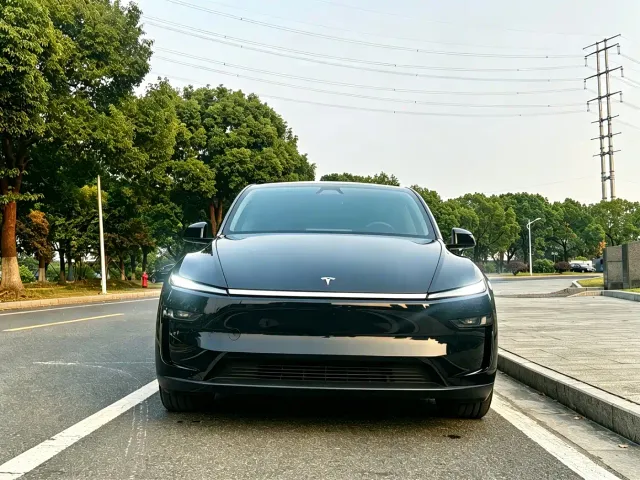 Tesla Model Y — Фото автомобиля 3