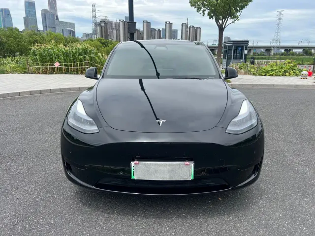 Tesla Model Y — Фото автомобиля 2