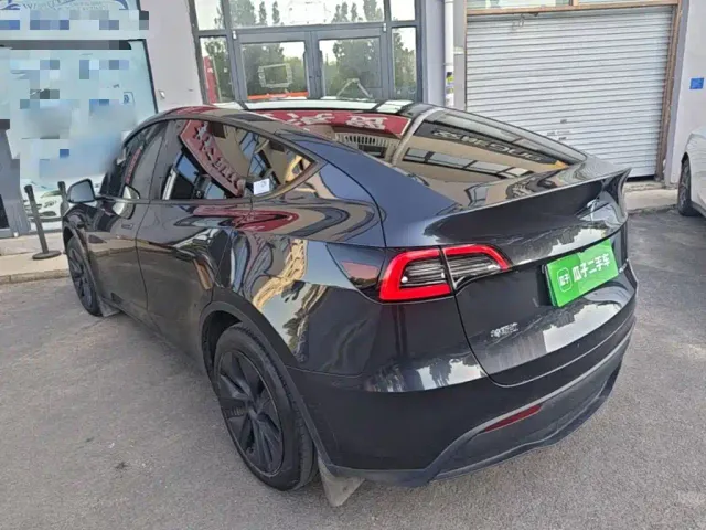Tesla Model Y — Фото автомобиля 4