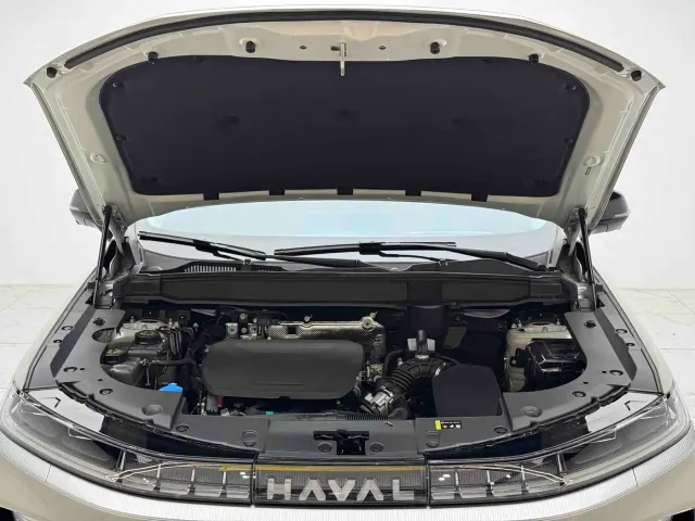 Haval Xiaolong MAX — Фото автомобиля 5