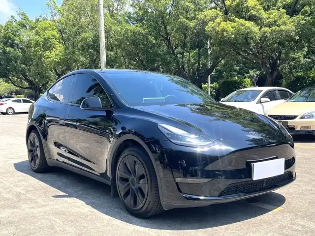 Tesla Model Y 2024 Long Range AWD — Фото автомобиля 3