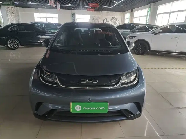 BYD Dolphin — Фото автомобиля 2