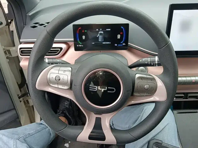 BYD Seagull — Фото автомобиля 10