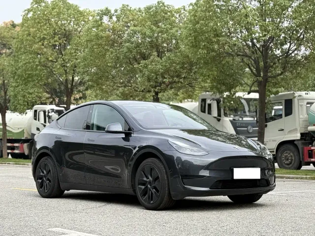 Tesla Model Y — Фото автомобиля 3