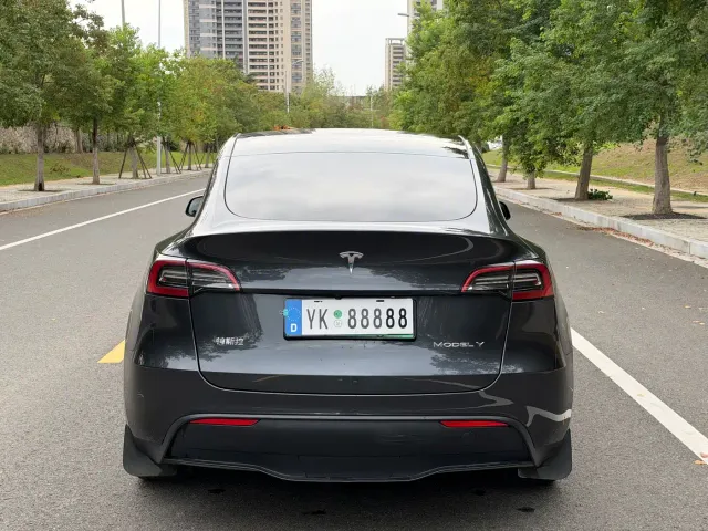 Tesla Model Y — Фото автомобиля 6