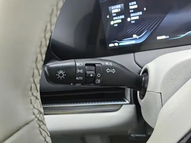 Forthing Xinghai V9 — Фото автомобиля 21