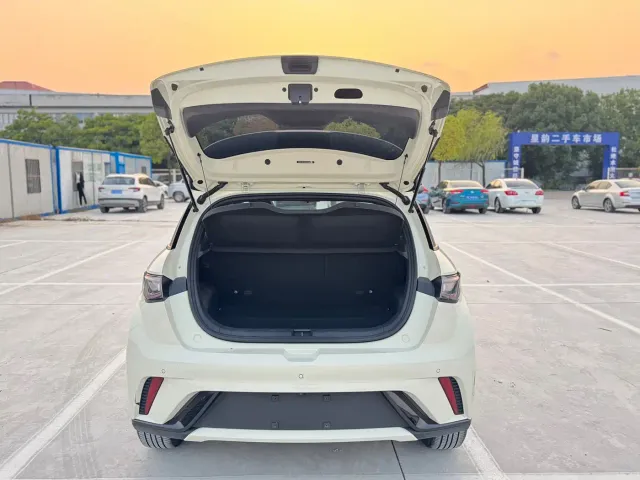 BYD Dolphin — Фото автомобиля 8