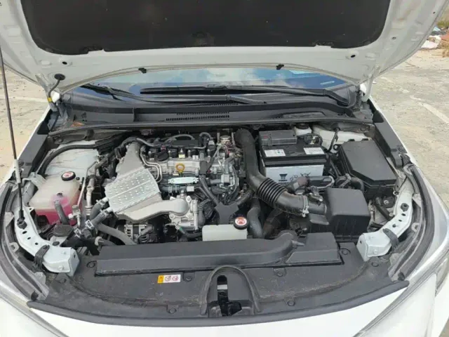 Toyota Levin — Фото автомобиля 19
