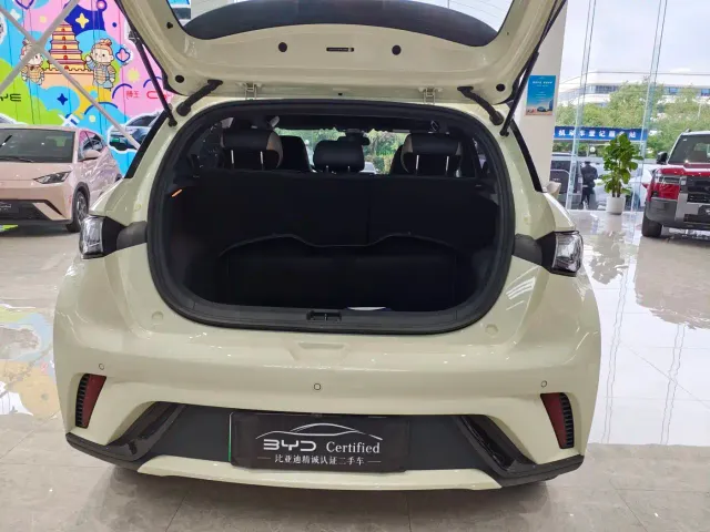 BYD Dolphin — Фото автомобиля 15